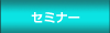 �Z�~�i�[