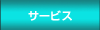 �T�[�r�X