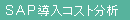 SAP�����R�X�g����